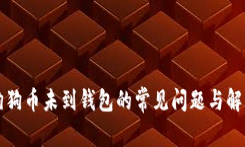 解决狗狗币未到钱包的常见问题与解决方案