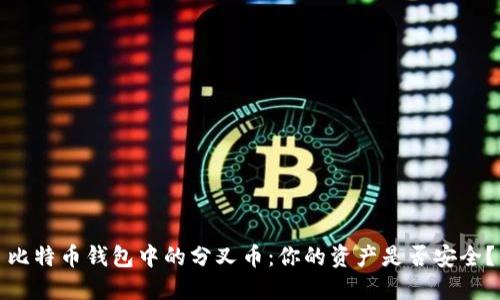 比特币钱包中的分叉币:你的资产是否安全?