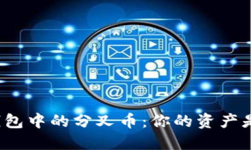 比特币钱包中的分叉币:你的资产是否安全?