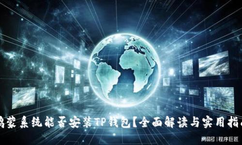 鸿蒙系统能否安装TP钱包？全面解读与实用指南