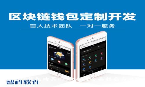 如何通过TP钱包购买KISHU币？全面指南与风险分析