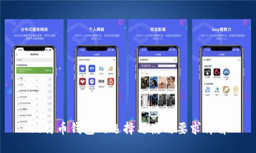 比特币钱包的选择与使用要求详解