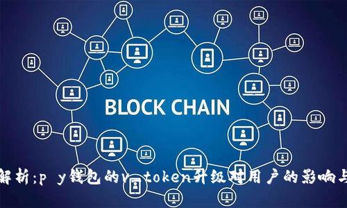 深入解析：p y钱包的v_token升级对用户的影响与优势