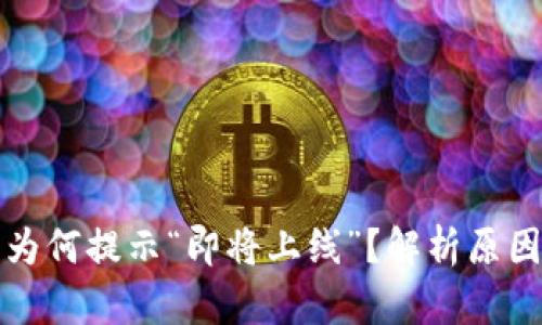 TP钱包下载为何提示“即将上线”？解析原因和解决方案