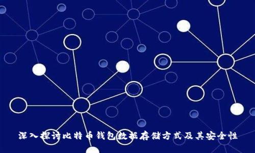深入探讨比特币钱包数据存储方式及其安全性