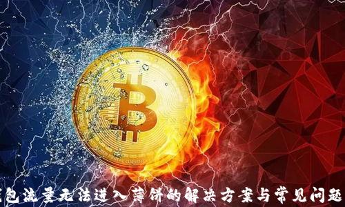 
TP钱包流量无法进入薄饼的解决方案与常见问题解析