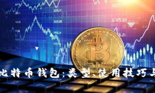 全面解析比特币钱包：类型、使用技巧与安全指南