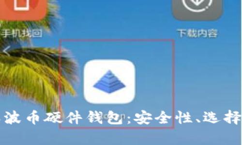 全面解析瑞波币硬件钱包：安全性、选择与使用指南