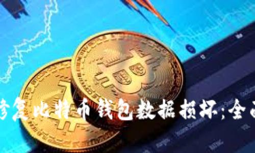 如何修复比特币钱包数据损坏：全面指南