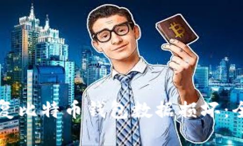 如何修复比特币钱包数据损坏：全面指南