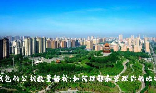 比特币钱包的公钥数量解析：如何理解和管理你的比特币公钥