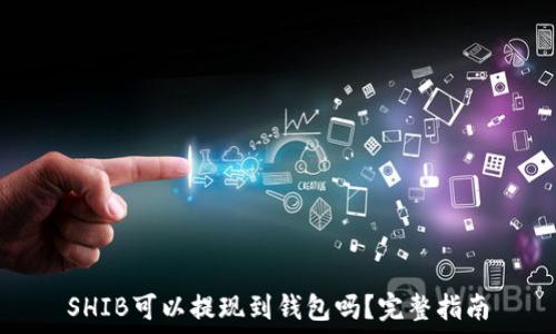   
SHIB可以提现到钱包吗？完整指南