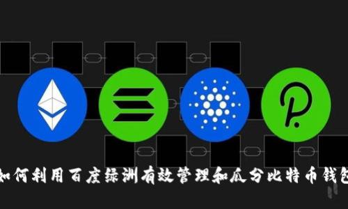 如何利用百度绿洲有效管理和瓜分比特币钱包