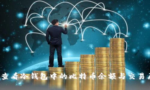 如何查看冷钱包中的比特币余额与交易历史？