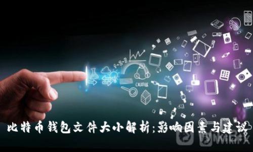 比特币钱包文件大小解析：影响因素与建议