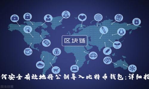如何安全有效地将公钥导入比特币钱包：详细指南