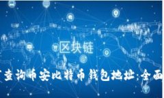 如何查询币安比特币钱包