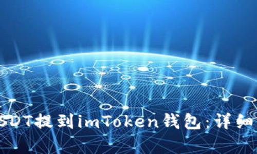 如何将USDT提到imToken钱包：详细步骤解析