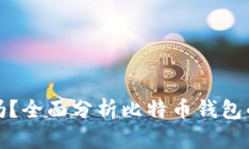 比特币放钱包安全吗？全面分析比特币钱包的安全性与防护措施
