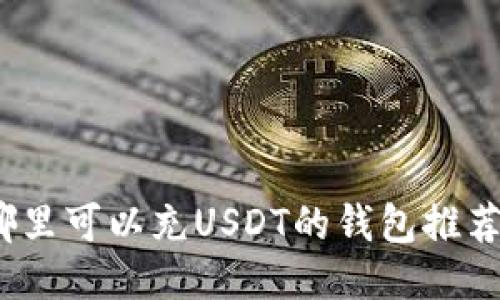: 2023年哪里可以充USDT的钱包推荐与使用指南