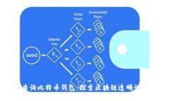 如何查询比特币钱包：探索区块链透明性的实践