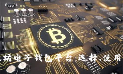 深入解析以太坊电子钱包平台：选择、使用与安全性指南