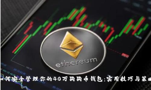 如何安全管理你的40万狗狗币钱包：实用技巧与策略