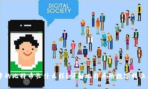 电子钱包中的比特币长什么样？详解比特币的数字特征与存储形式