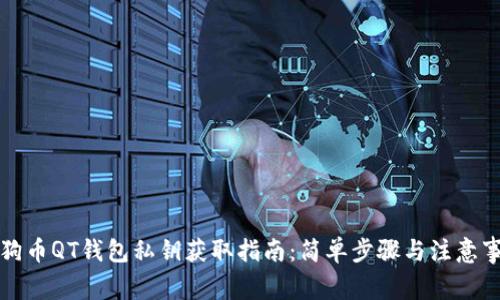 狗狗币QT钱包私钥获取指南：简单步骤与注意事项