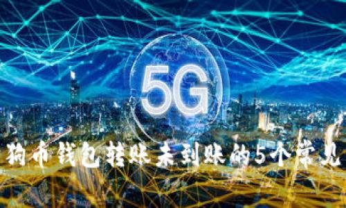 2023年最新：狗狗币钱包转账未到账的5个常见原因及解决方案