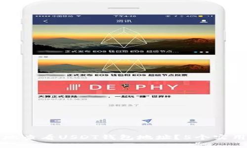 如何安全地查看USDT钱包地址？5个实用技巧分享