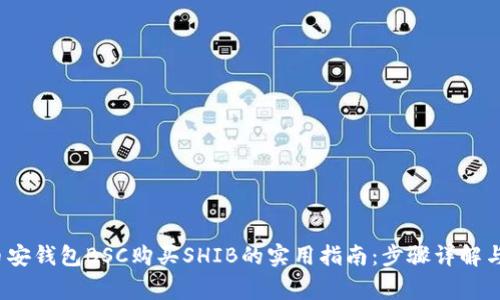 2023年币安钱包BSC购买SHIB的实用指南：步骤详解与注意事项