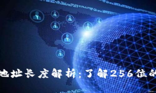 《比特币钱包地址长度解析：了解256位的意义与应用》