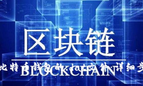 如何查找比特币钱包的.dat文件：详细步骤与技巧