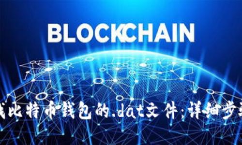 如何查找比特币钱包的.dat文件：详细步骤与技巧