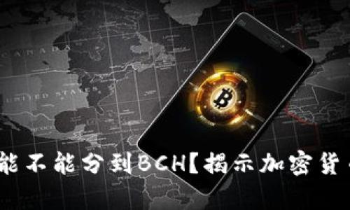 比特币在钱包里，能不能分到BCH？揭示加密货币分叉的真实情况