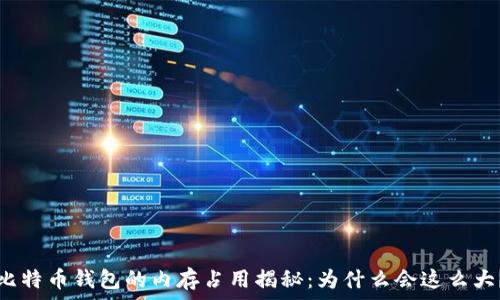   
比特币钱包的内存占用揭秘：为什么会这么大？