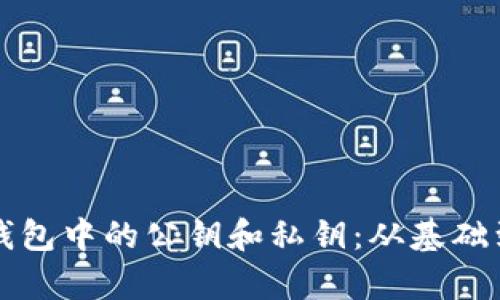 深入解析比特币钱包中的公钥和私钥：从基础到安全的全面指南