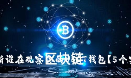 如何判断谁在观察你的USDT钱包？5个实用技巧