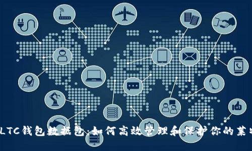2023年LTC钱包数据包：如何高效管理和保护你的莱特币资产