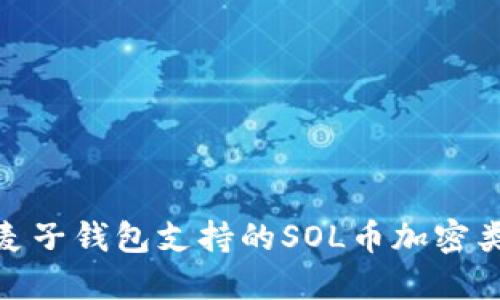 2023年解读：麦子钱包支持的SOL币加密类型及使用指南