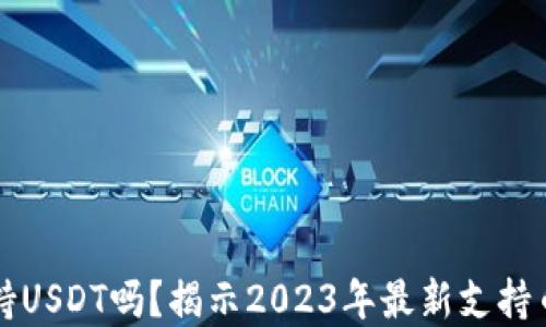
小狐狸钱包支持USDT吗？揭示2023年最新支持币种与实用功能