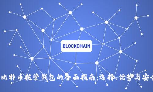 2023年比特币托管钱包的全面指南：选择、优势与安全性解析