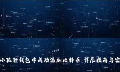 如何在小狐狸钱包中成功