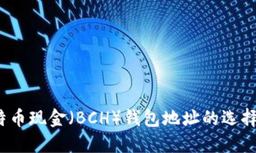 2023年比特币现金（BCH）钱包地址的选择与管理指南