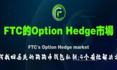 如何找回丢失的狗狗币钱包私钥：4个有效解决方