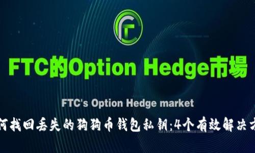 如何找回丢失的狗狗币钱包私钥：4个有效解决方案