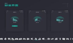 深入解析比特币钱包地址