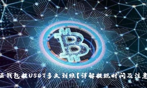 360云钱包提USDT多久到账？详解提现时间及注意事项