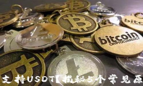
为什么钱包不支持USDT？揭秘5个常见原因与解决方案